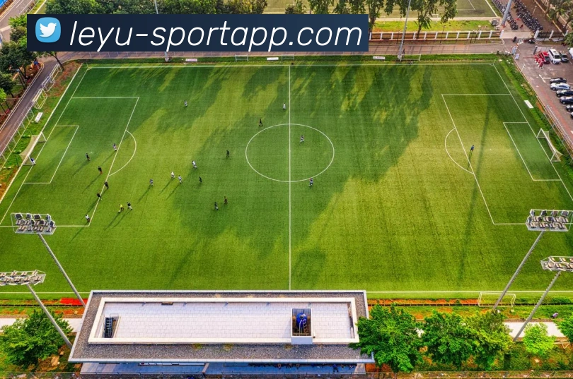 乐鱼体育平台生态图